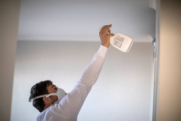 Best Mold Cleaning Services  in Marion, KY