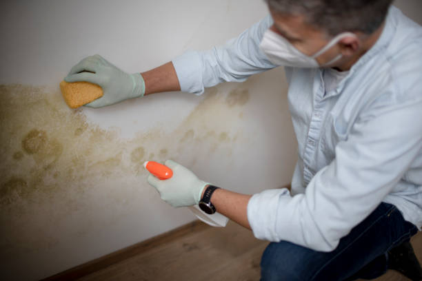Best Mold Testing  in Marion, KY